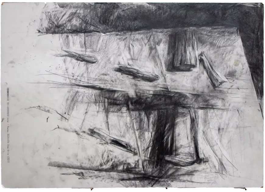 driftwood1